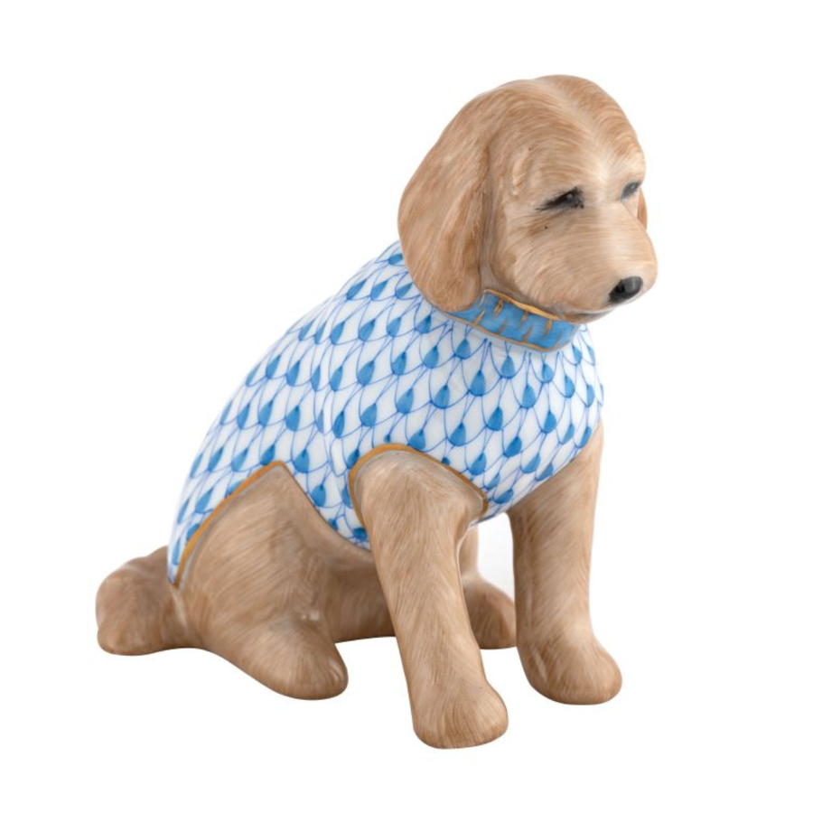 Labradoodle Blue