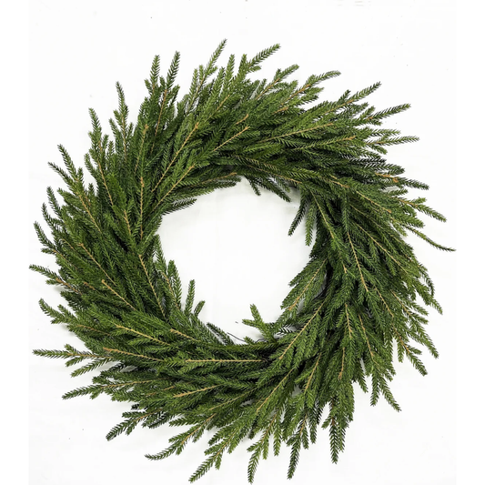 Norfolk Pine Wreath