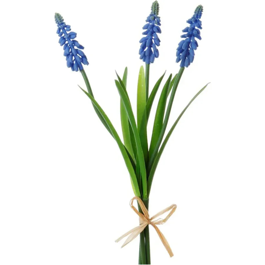 Muscari Stem x3 12"