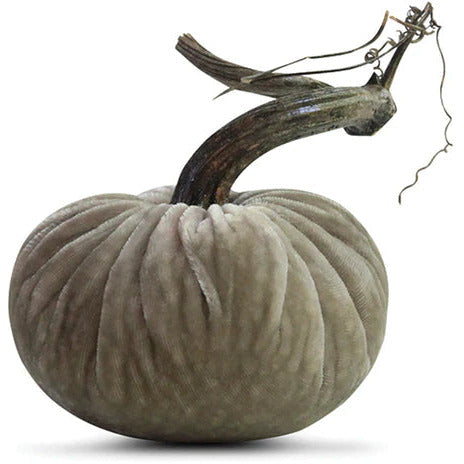 Plush Pumpkin