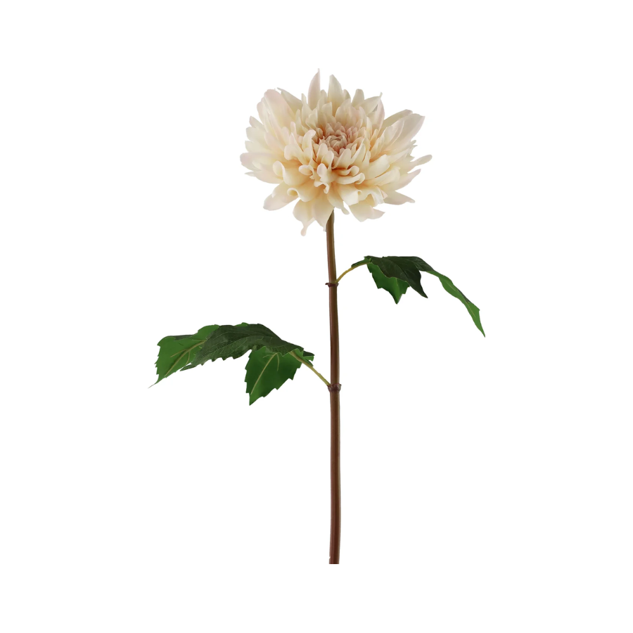 Dahlia 19.5" Blush