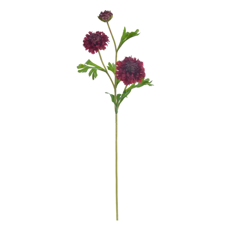 Scabiosa Spray 21" Burgundy