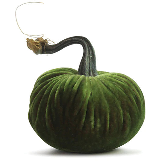 Plush Pumpkin