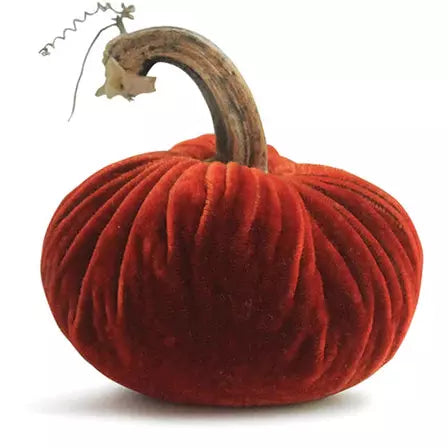 Plush Pumpkin