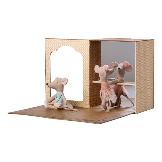 Ballet Mice in Dance Studio Little Sister and Brother