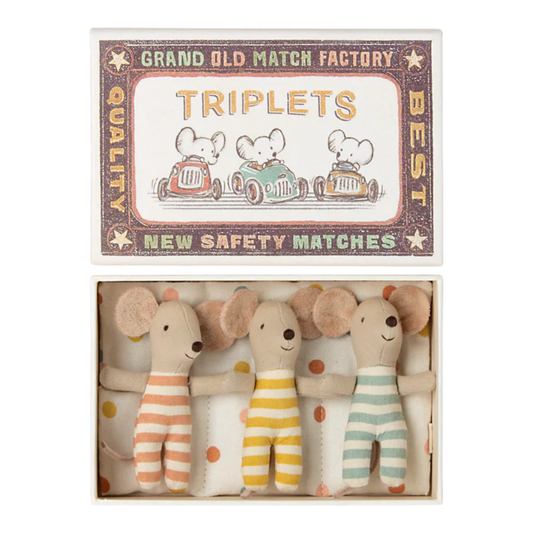 Triplets Baby Mice