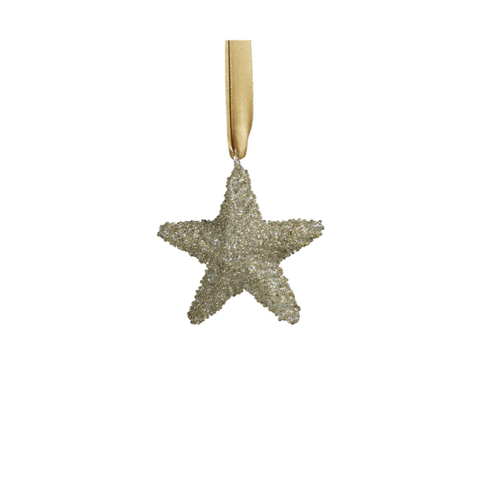 Silver Star Ornament Glitter