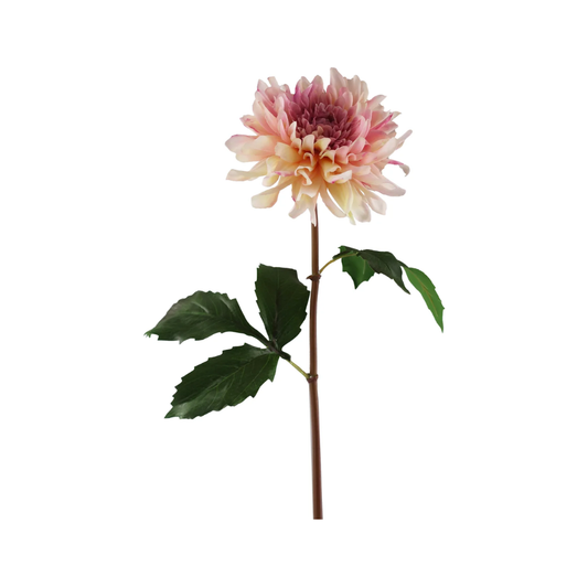 Dahlia 19.5" Brush Pink