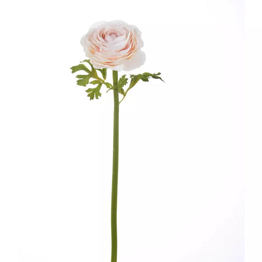 Ranunculus 22" Dusty Peach