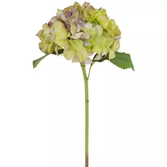 Hydrangea 21" Lavender/Green