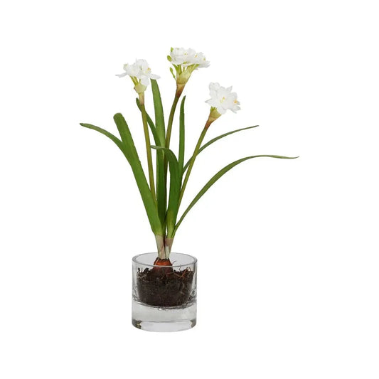 18" Pot Narcissus