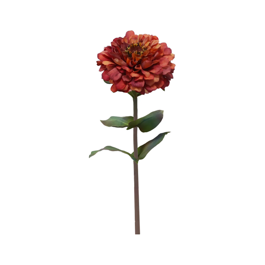 Zinnia 23" Orange