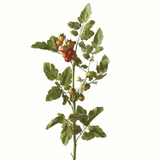 36" Real Touch Tomato Spray