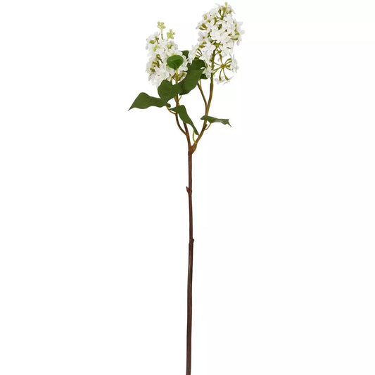 White Lilac 30"