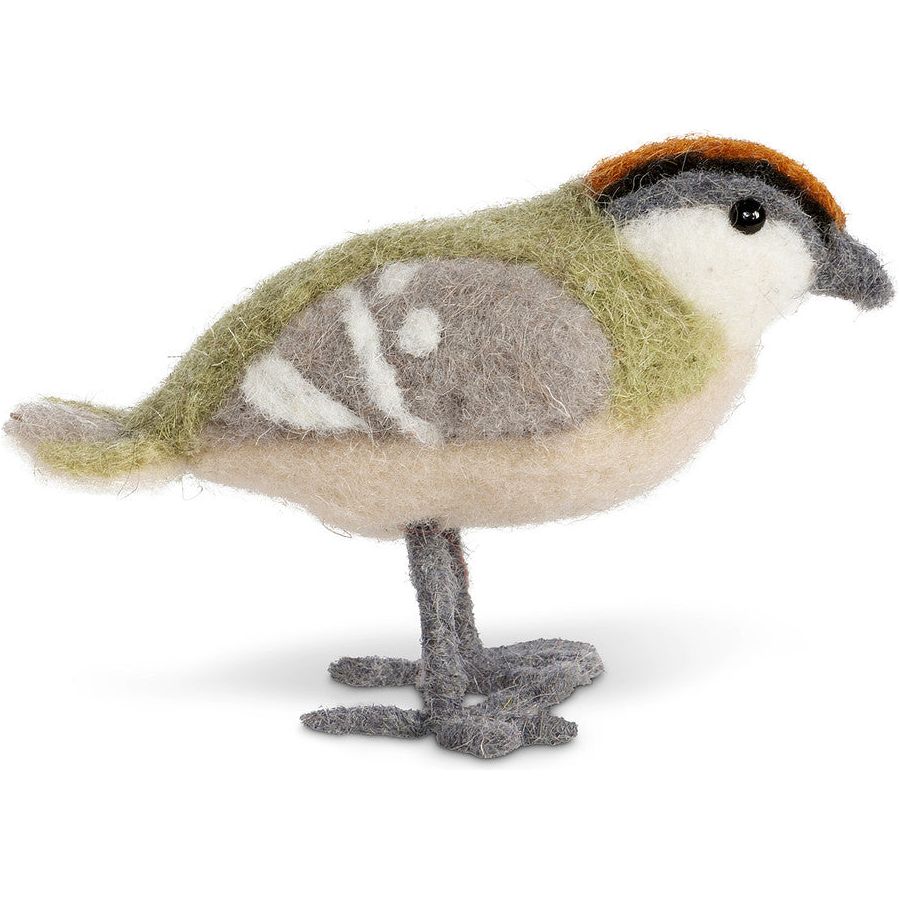 Wool Green Barn Sparrow