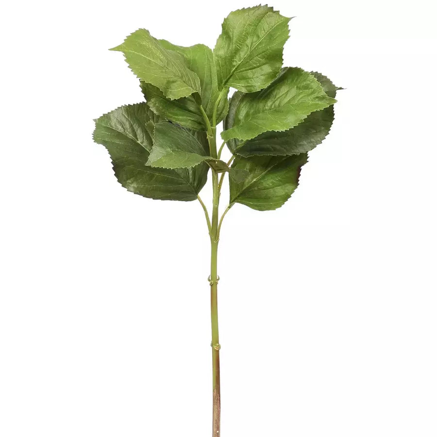 Hydrangea leaf 20" green