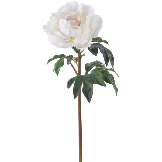 Beige Peony 20.5"