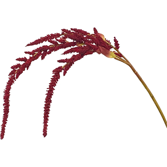 Hanging Amaranthus 36.5" XR