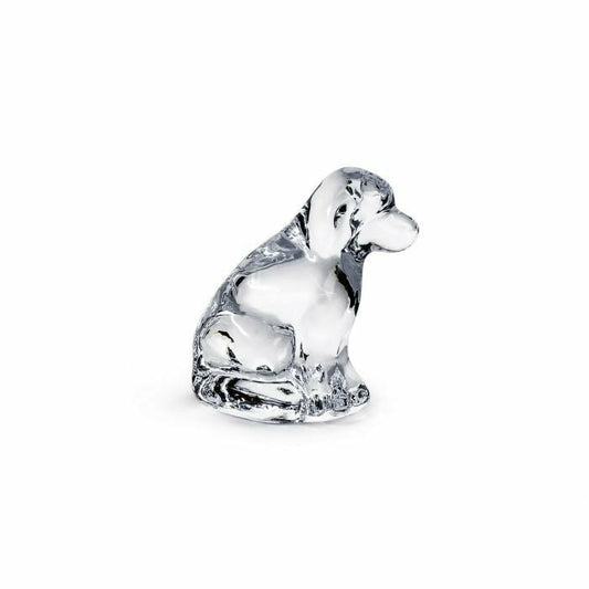 Glass Puppy