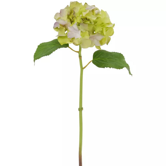 Hydrangea18.5"Lavend/green